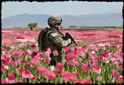 Afghanistan-opium-soldier